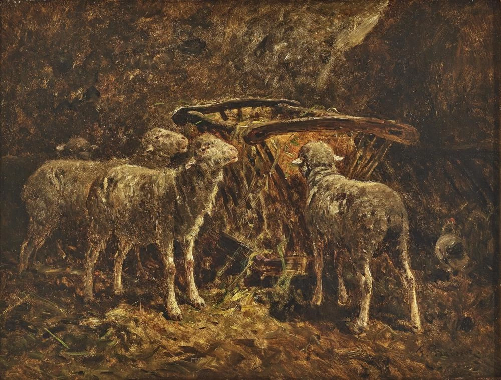 Pecore alla mangiatoia